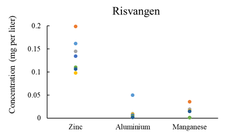 Risvangen